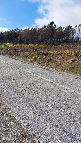 Terreno agricola - Grande imagem: 4/7