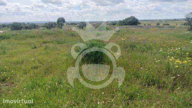 Terreno na zona industrial com 13963m2 - Grande imagem: 4/11