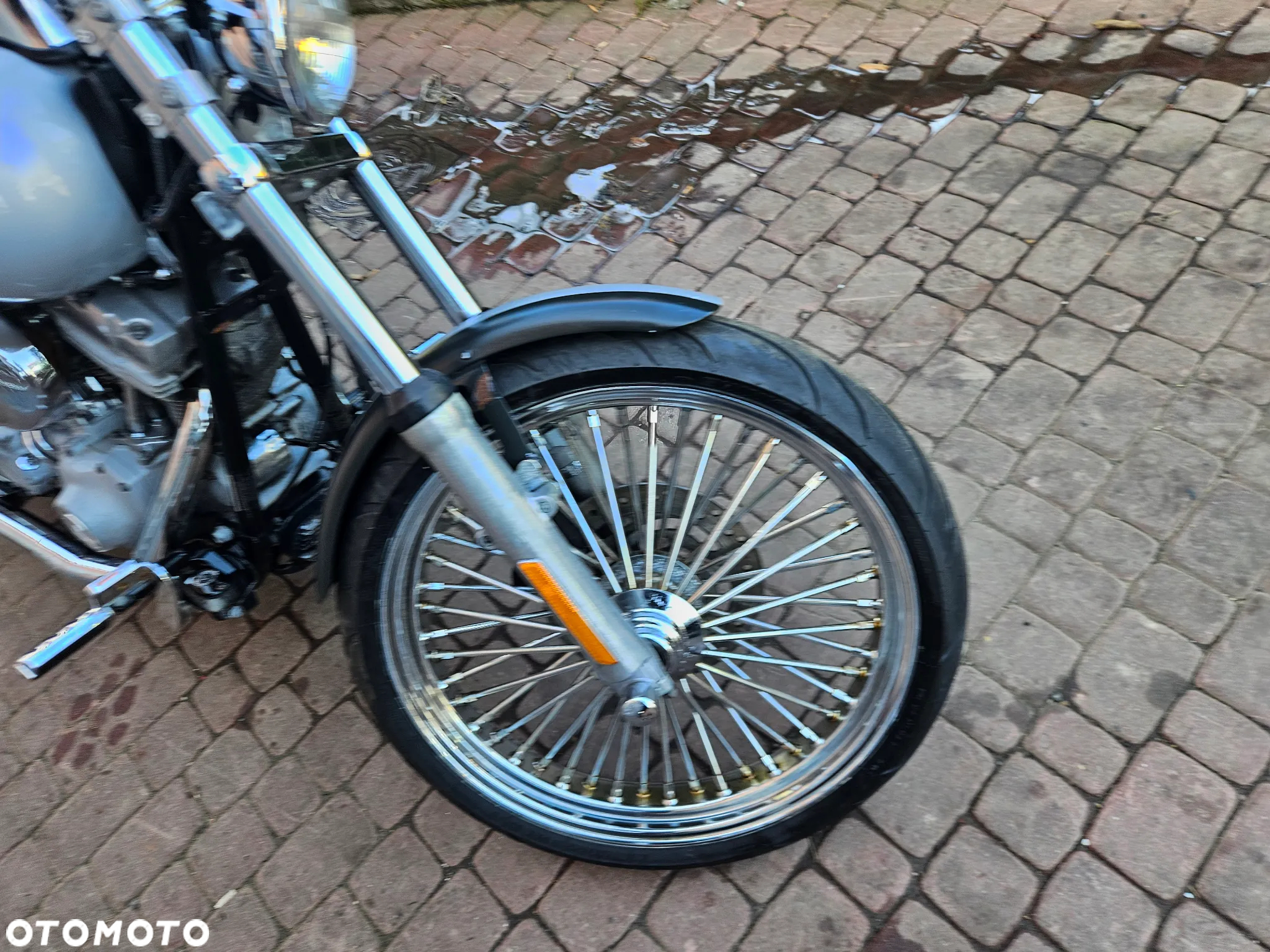 Harley-Davidson Softail - 12