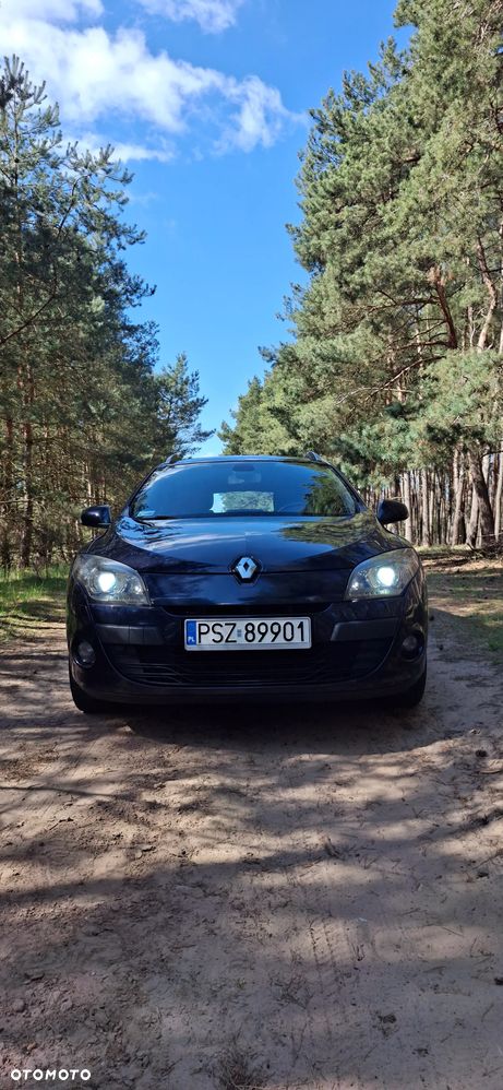 Renault Megane 1.6 16V Color Edition - 3