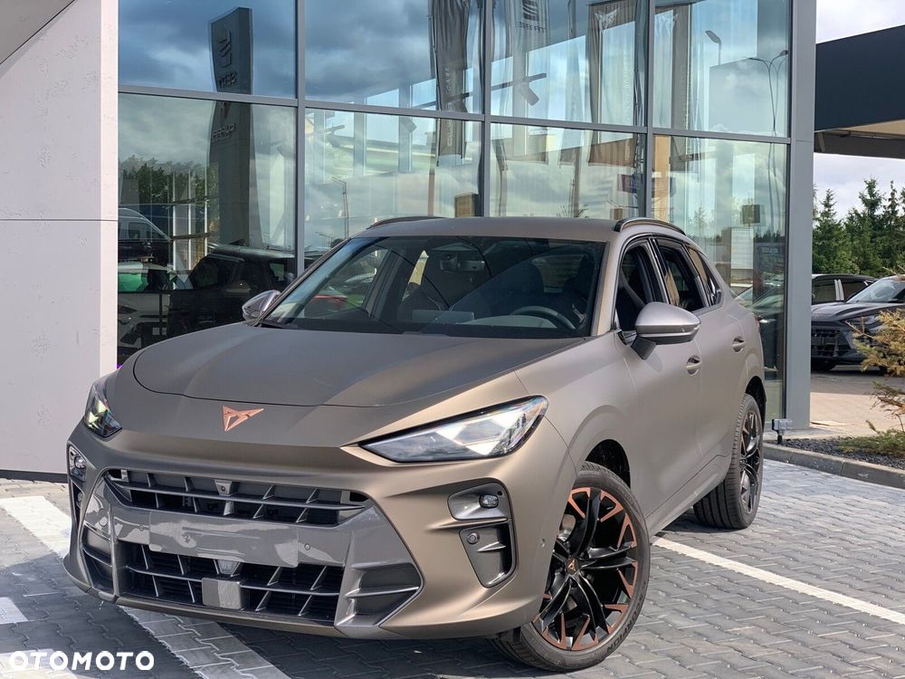 Cupra Terramar 2.0 TSI 4Drive DSG - 4
