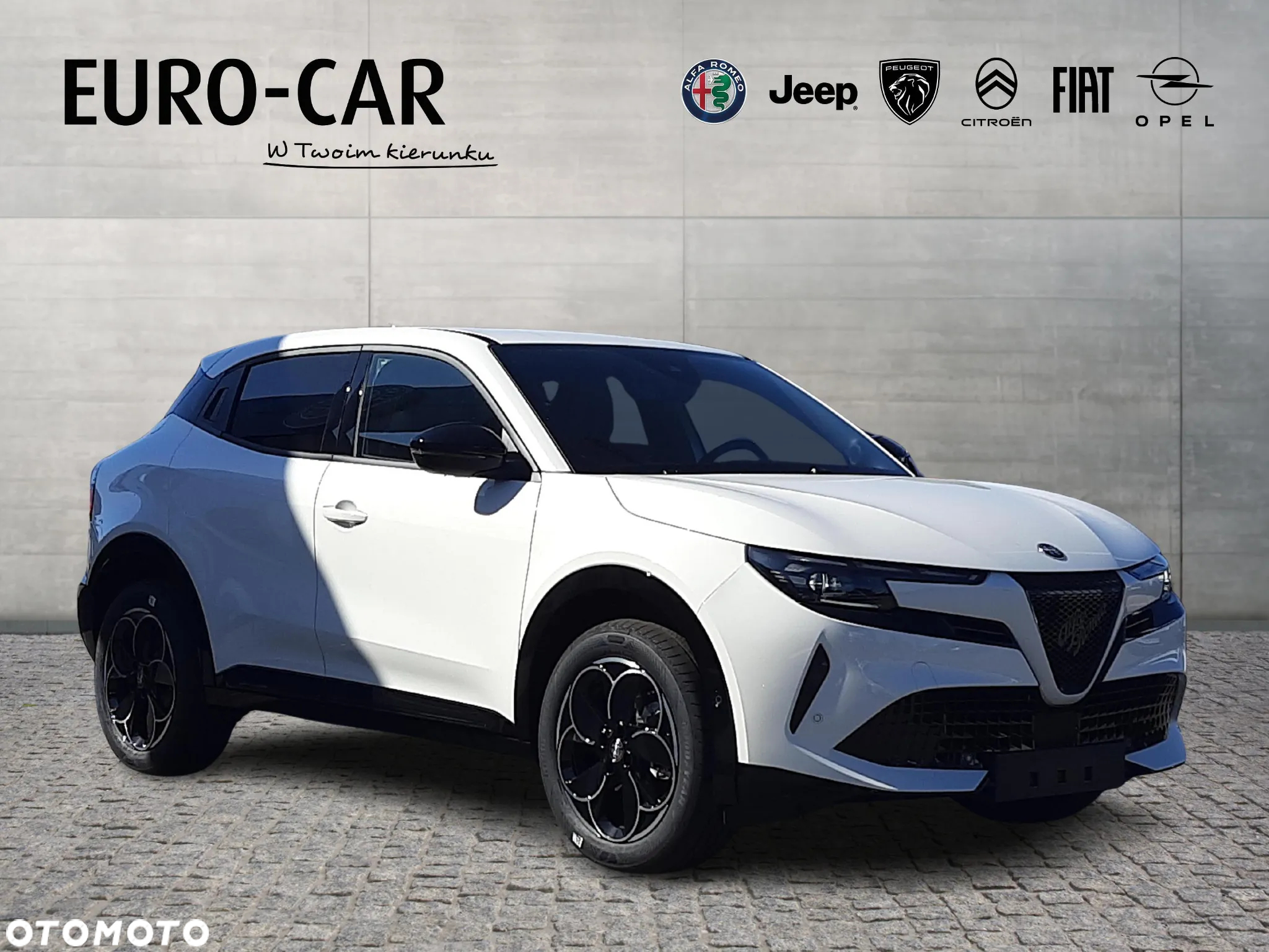 Alfa Romeo Junior - 8