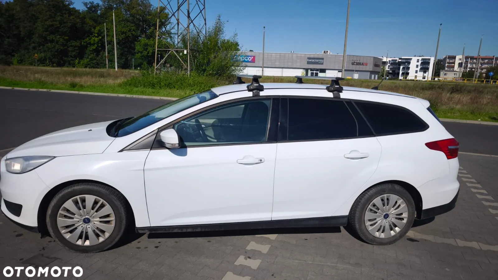 Ford Focus 1.6 Trend - 15