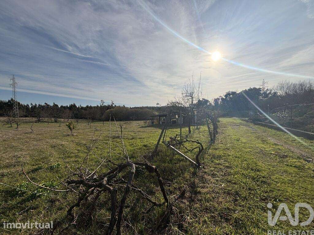 Terreno Agrícola em São Martinho do Bispo e Ribeira de Frades - Grande imagem: 5/18