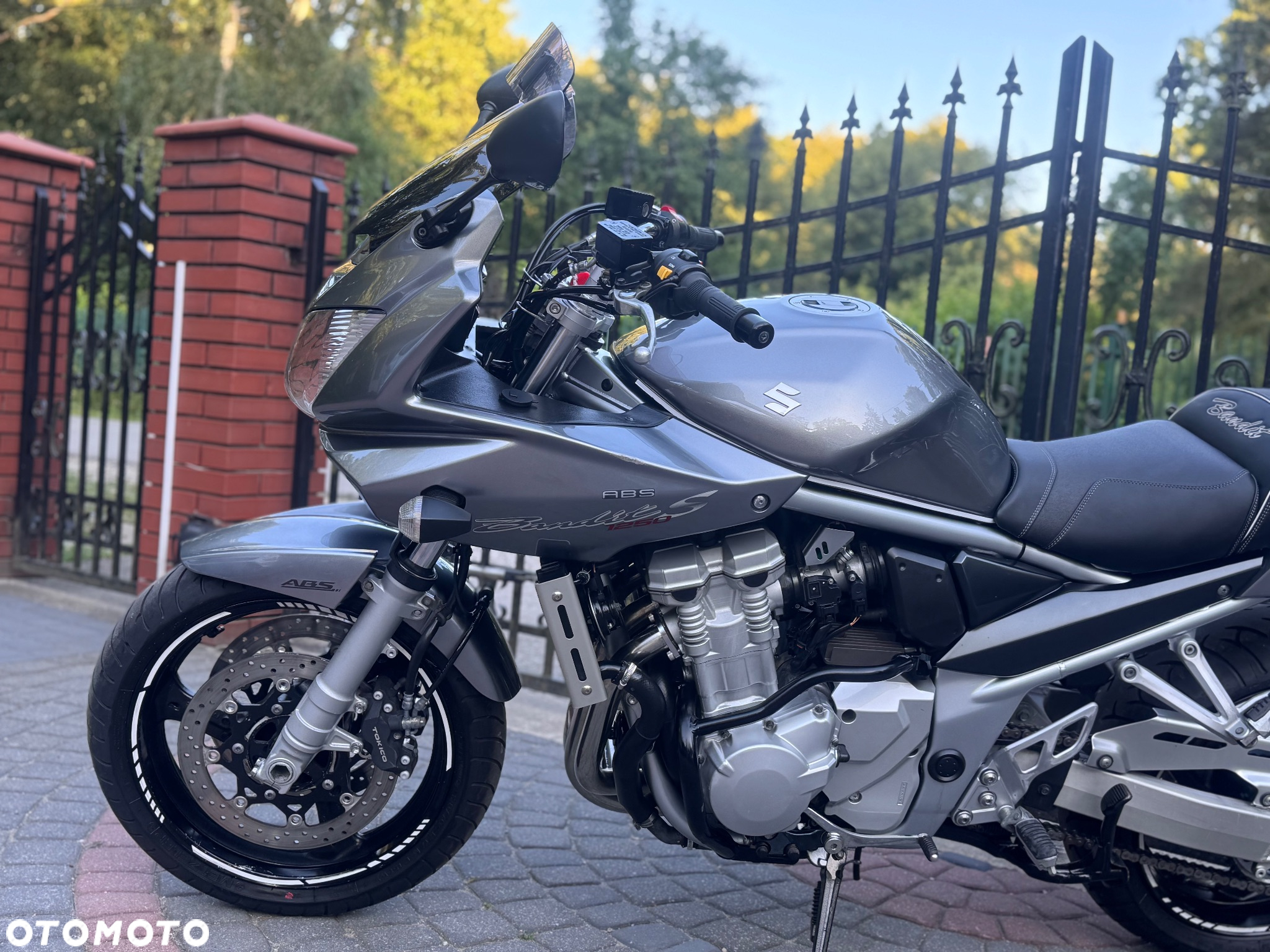 Suzuki Bandit - 19