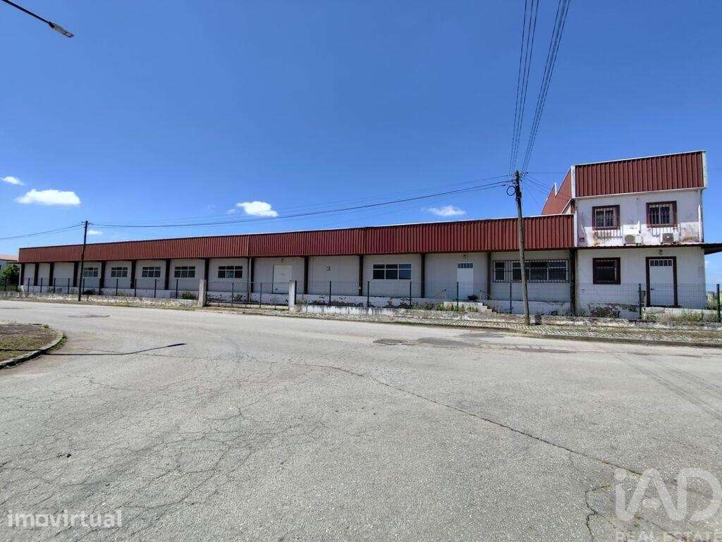 Loja / Estabelecimento Comercial em Sousel de 1550,00 m2 - Grande imagem: 3/5
