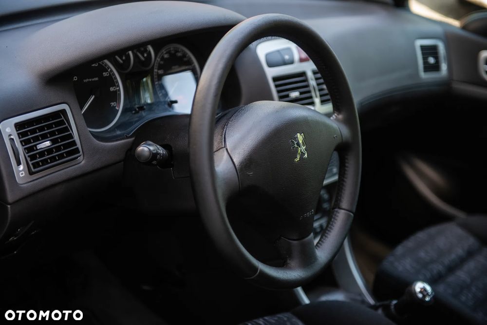 Peugeot 307 110 Grand Filou - 17