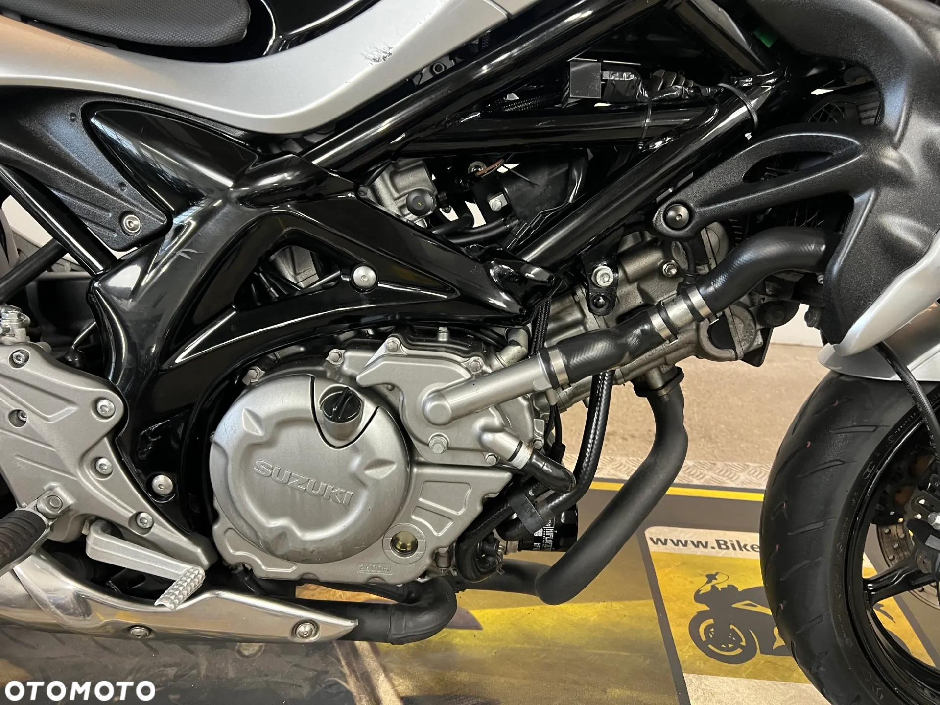 Suzuki Gladius - 11