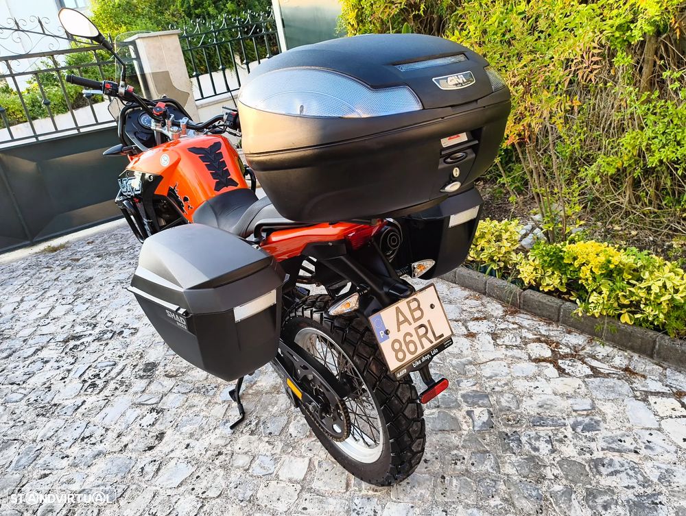 UM Dsr Adventure Adventure TT - 24