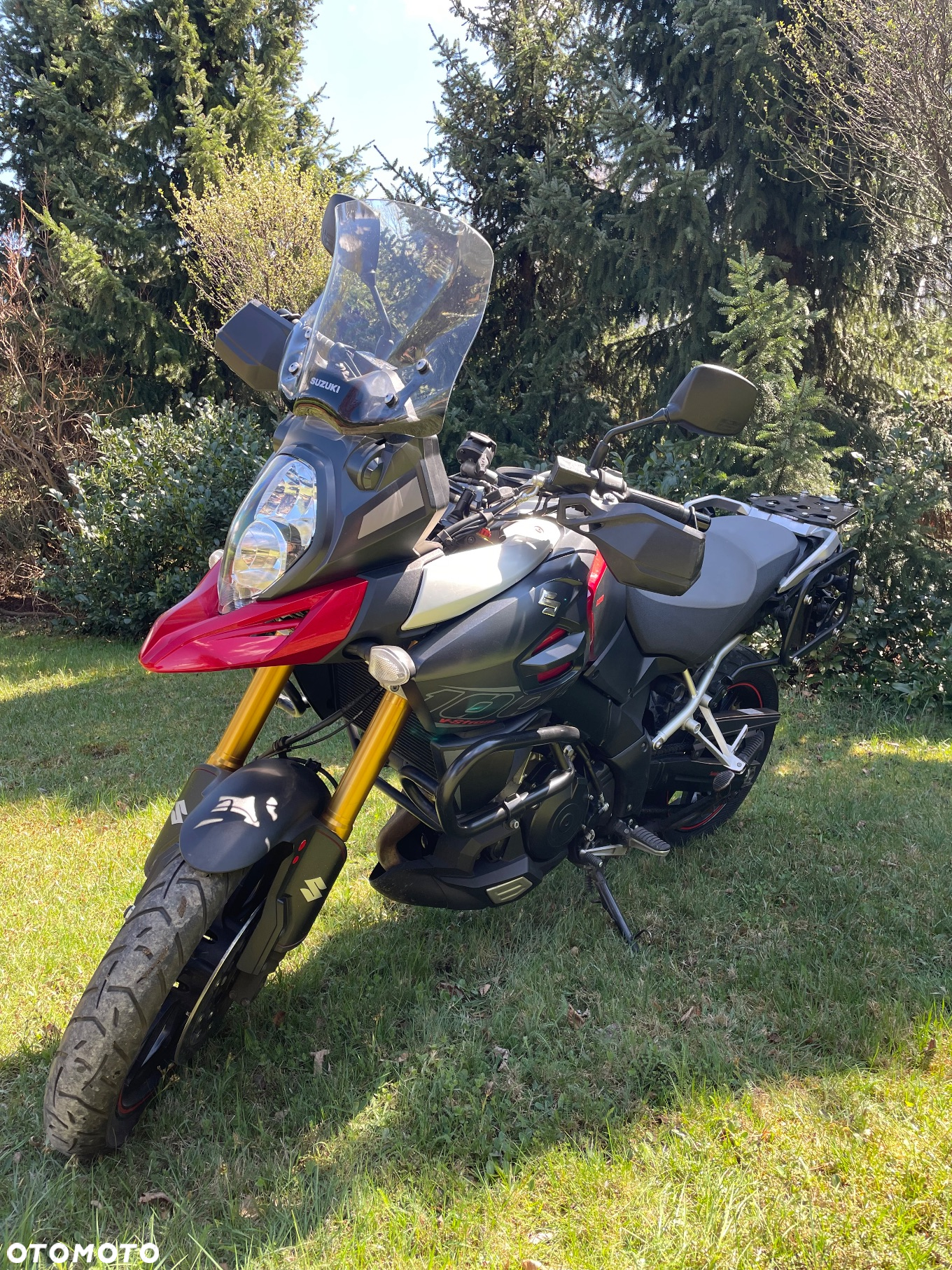 Suzuki DL