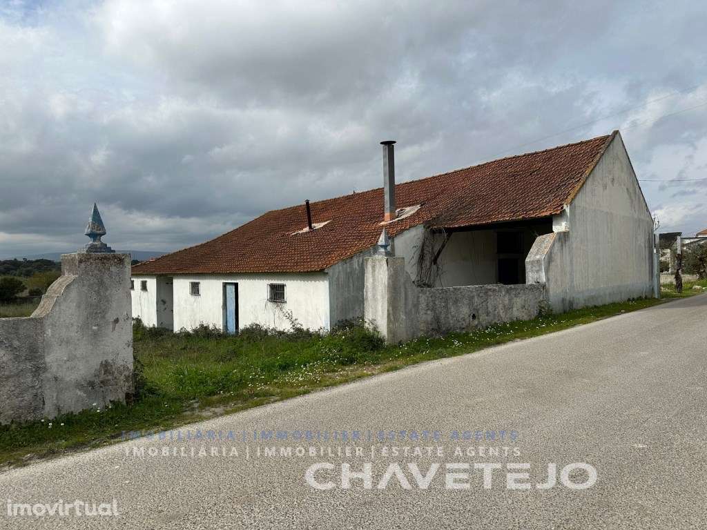 Oportunidade! Antigo Lagar para renovação ou investimento! - Grande imagem: 2/37