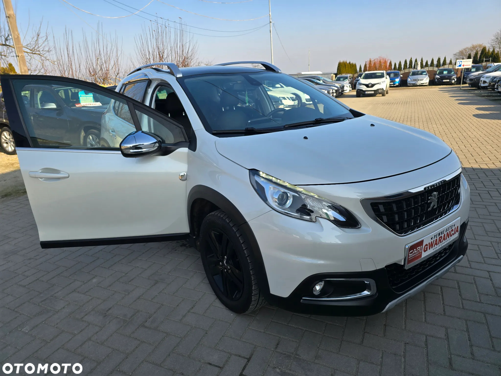 Peugeot 2008 - 16