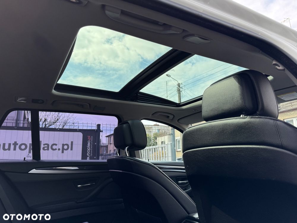 BMW Seria 5 520d Blue Performance - 16