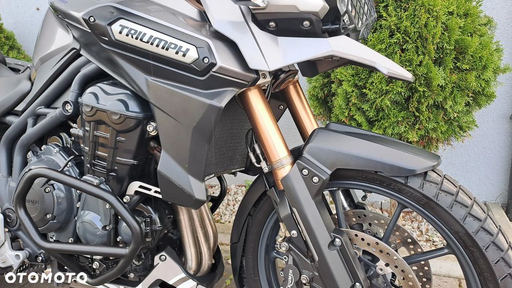 Triumph Tiger - 7