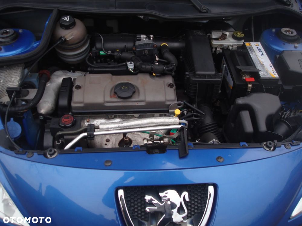 Peugeot 206 plus - 20