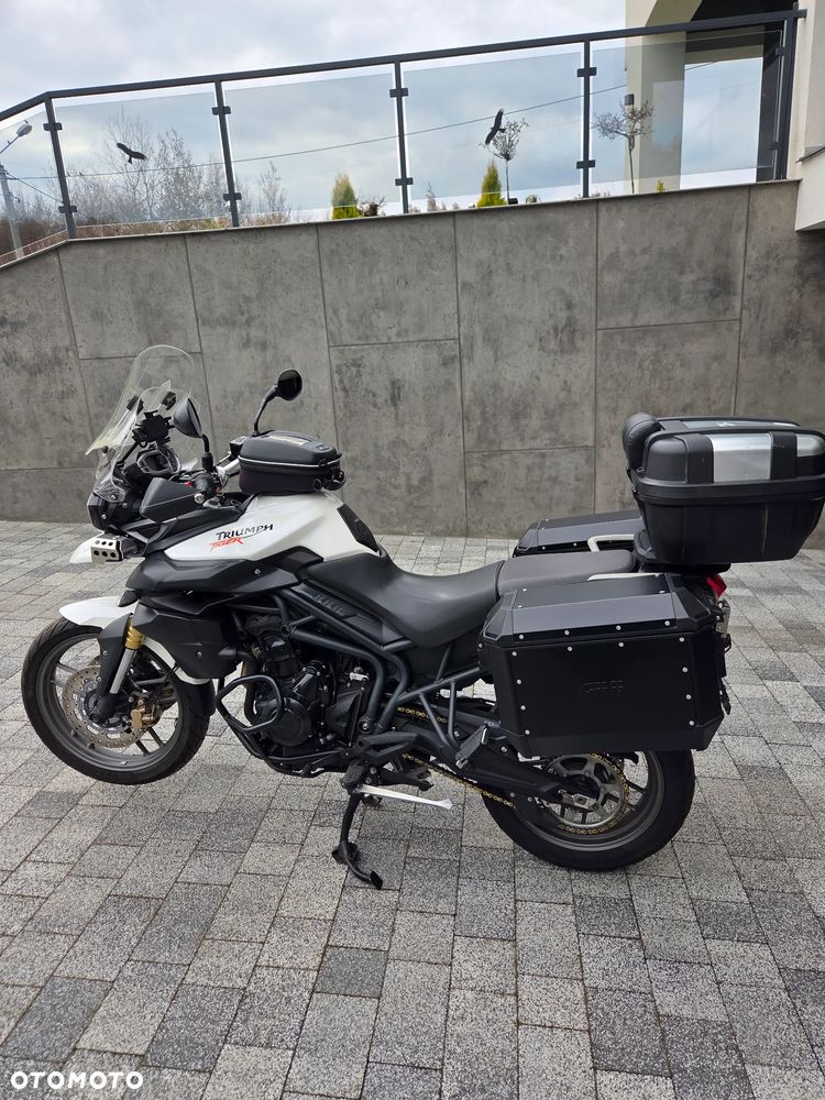 Triumph Tiger - 18