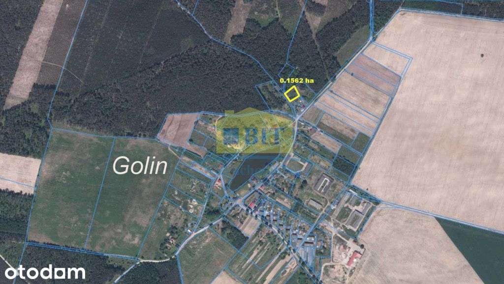 Działka budowlana 1562m2, Golin koło Człopy - Pełny obrazek: 3/13