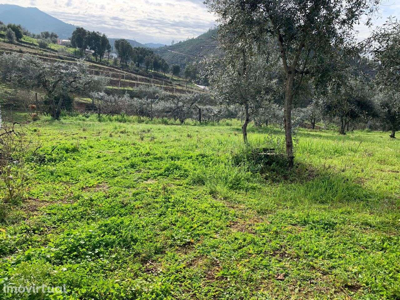 Terreno - Grande imagem: 2/8