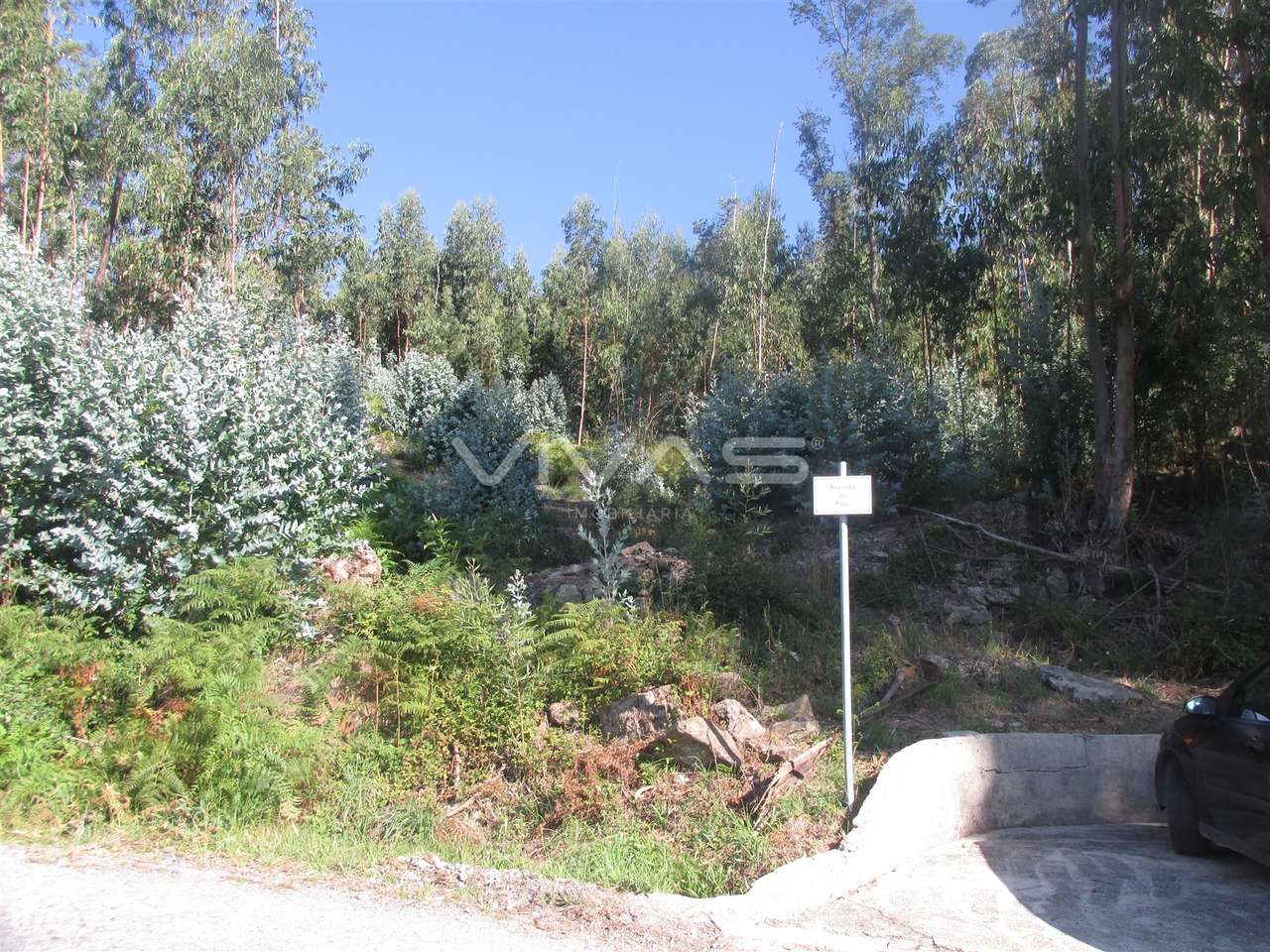 Terreno Rústico  Venda em Dossãos,Vila Verde - Grande imagem: 2/6