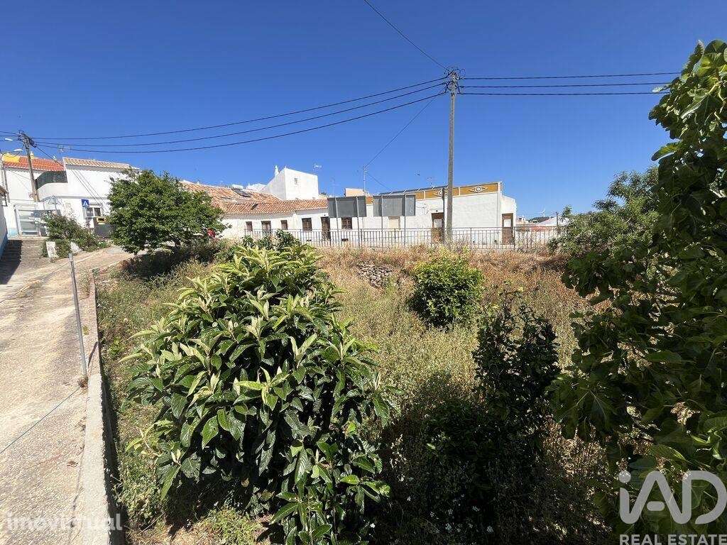 Terreno para construção em Barão de São Miguel de 50,00 m2 - Grande imagem: 2/11