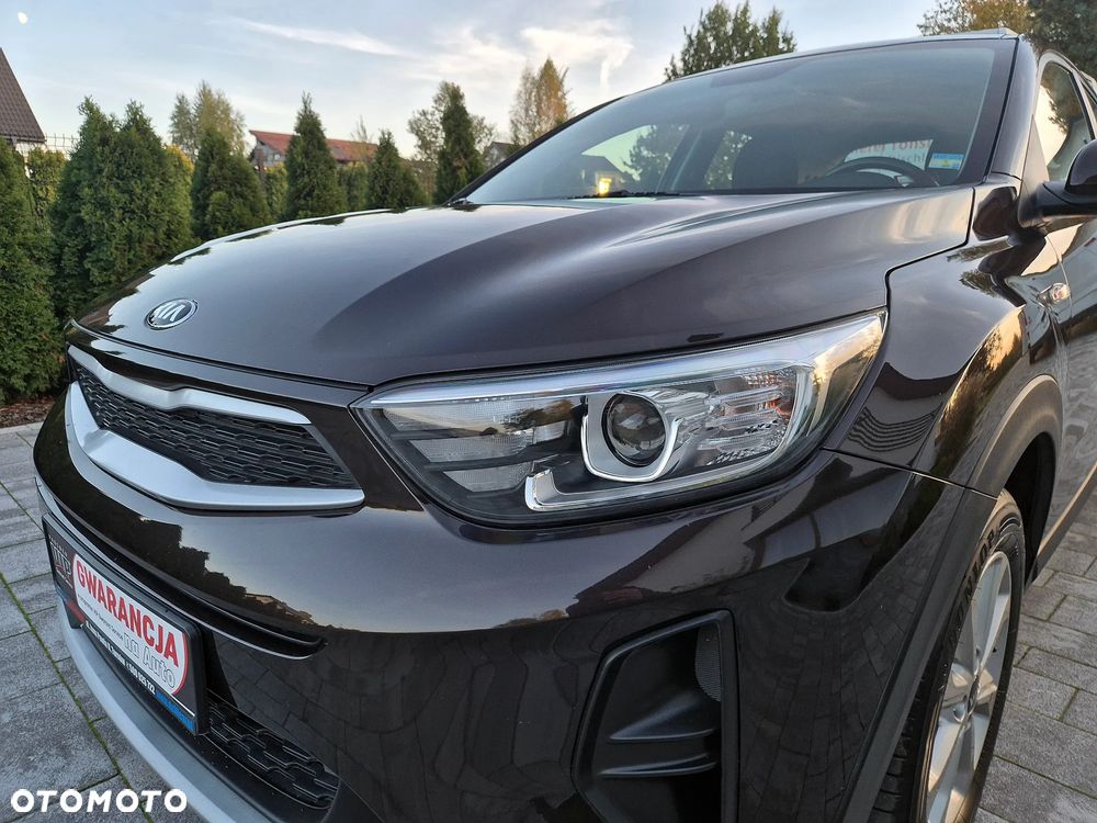 Kia Stonic - 17