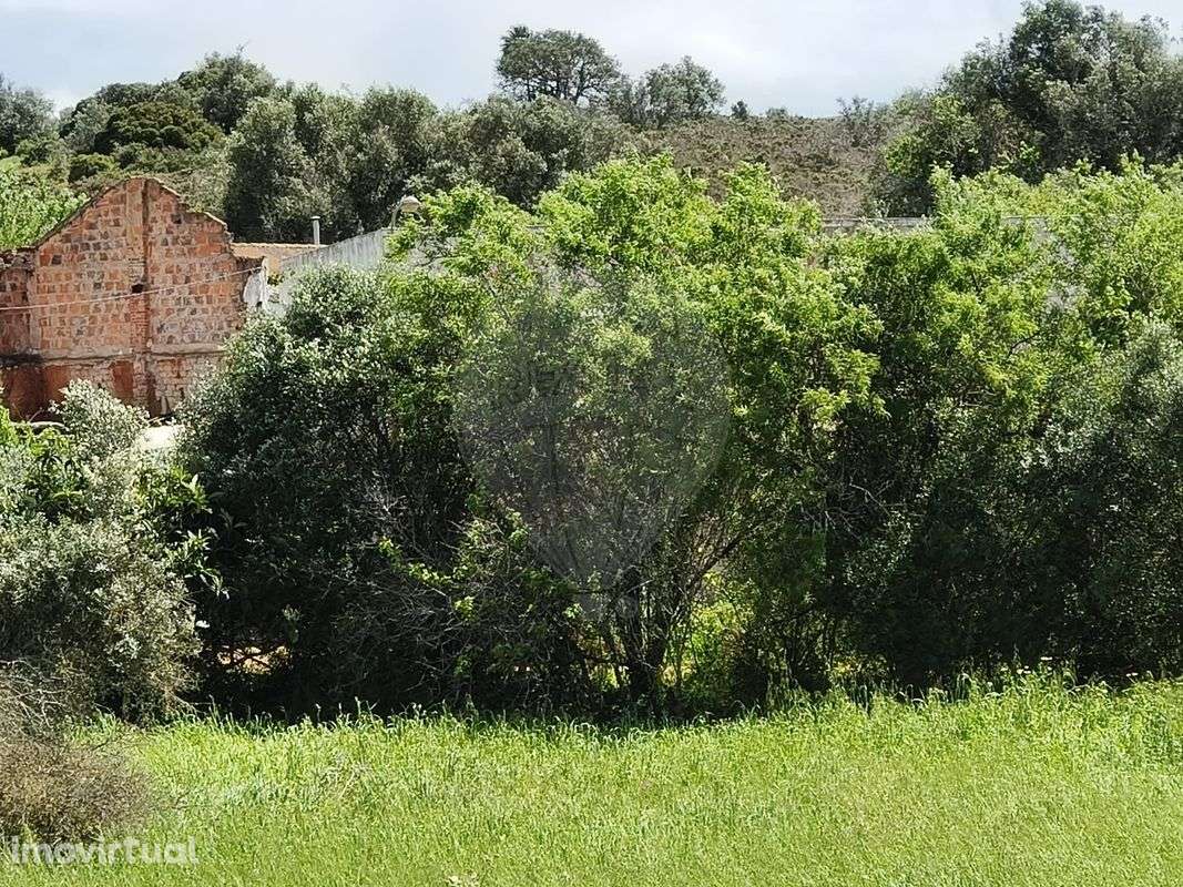 Quinta  para venda - Grande imagem: 5/23