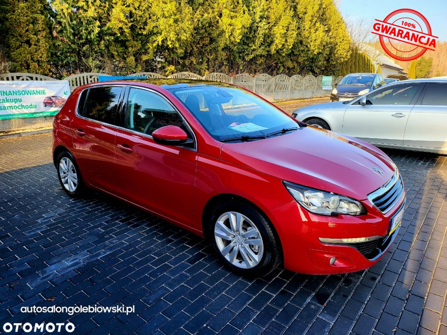 Peugeot 308 - 12