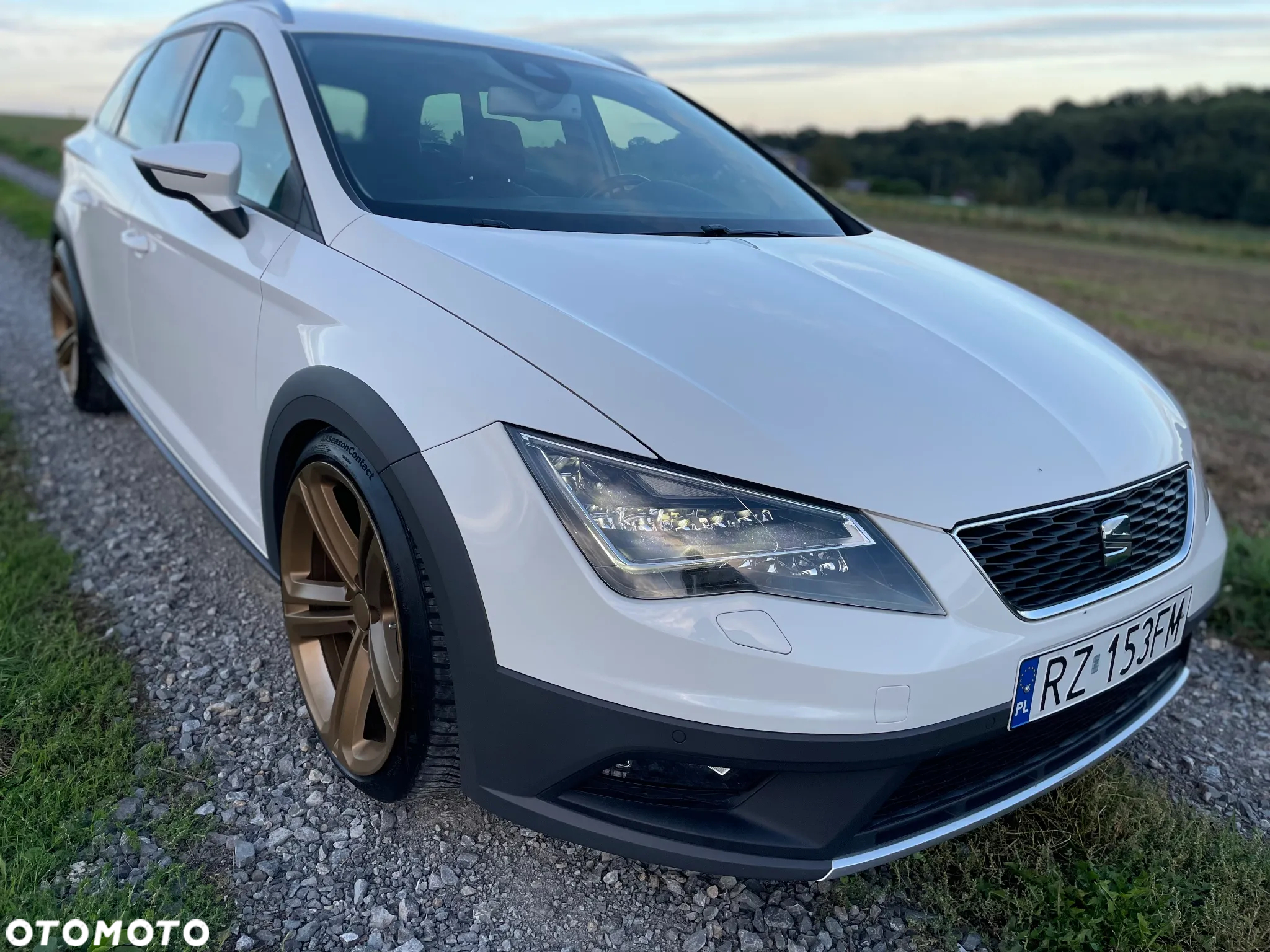 Seat Leon ST 2.0 TDI Start&Stop 4Drive X-Perience - 11