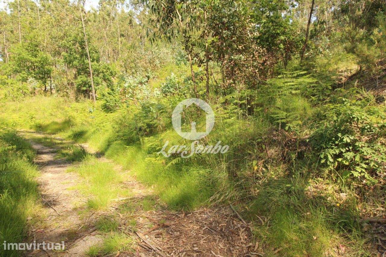 Terreno com 5.000 m² em Arões S. Romão  Fafe - Grande imagem: 5/11