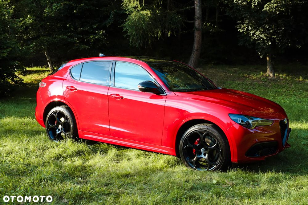 Alfa Romeo Stelvio 2.0 Turbo Tributo Italiano Q4 - 3