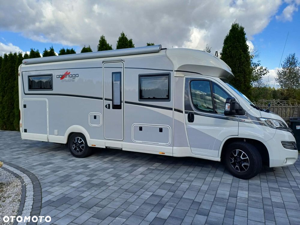 Carthago carthago - 3