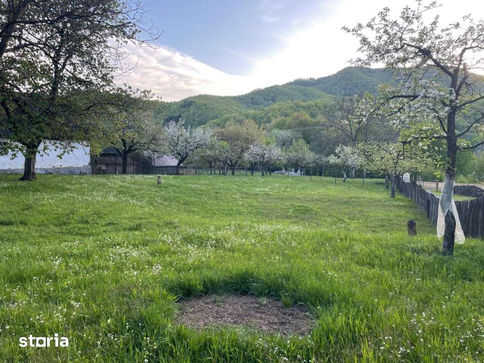Teren constructie, 1590 mp, zona Firiza - Imagine principală: 2/5