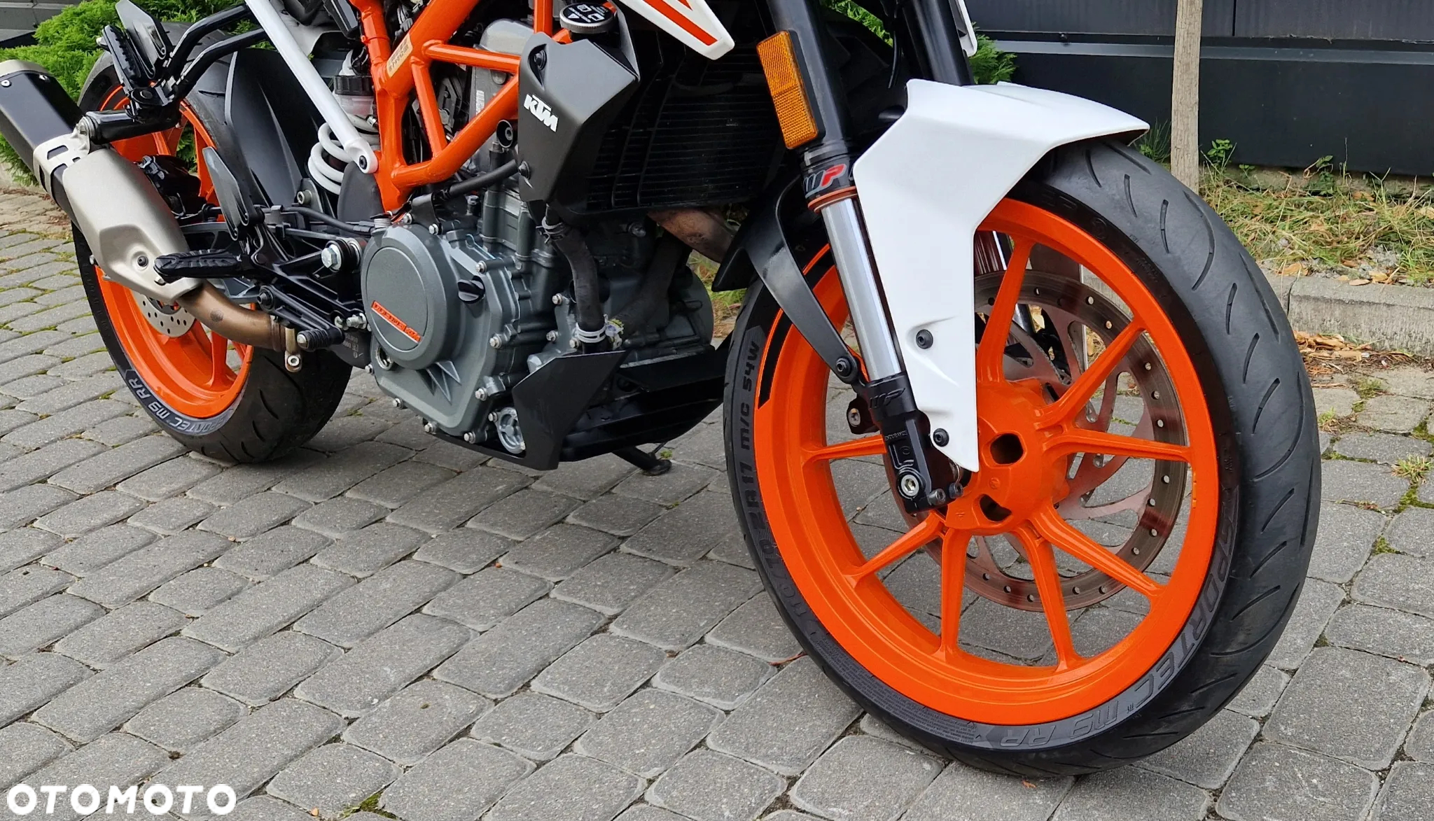KTM Duke - 14