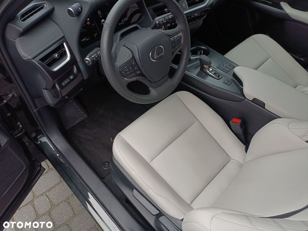 Lexus UX 300h F Sport Design - 19