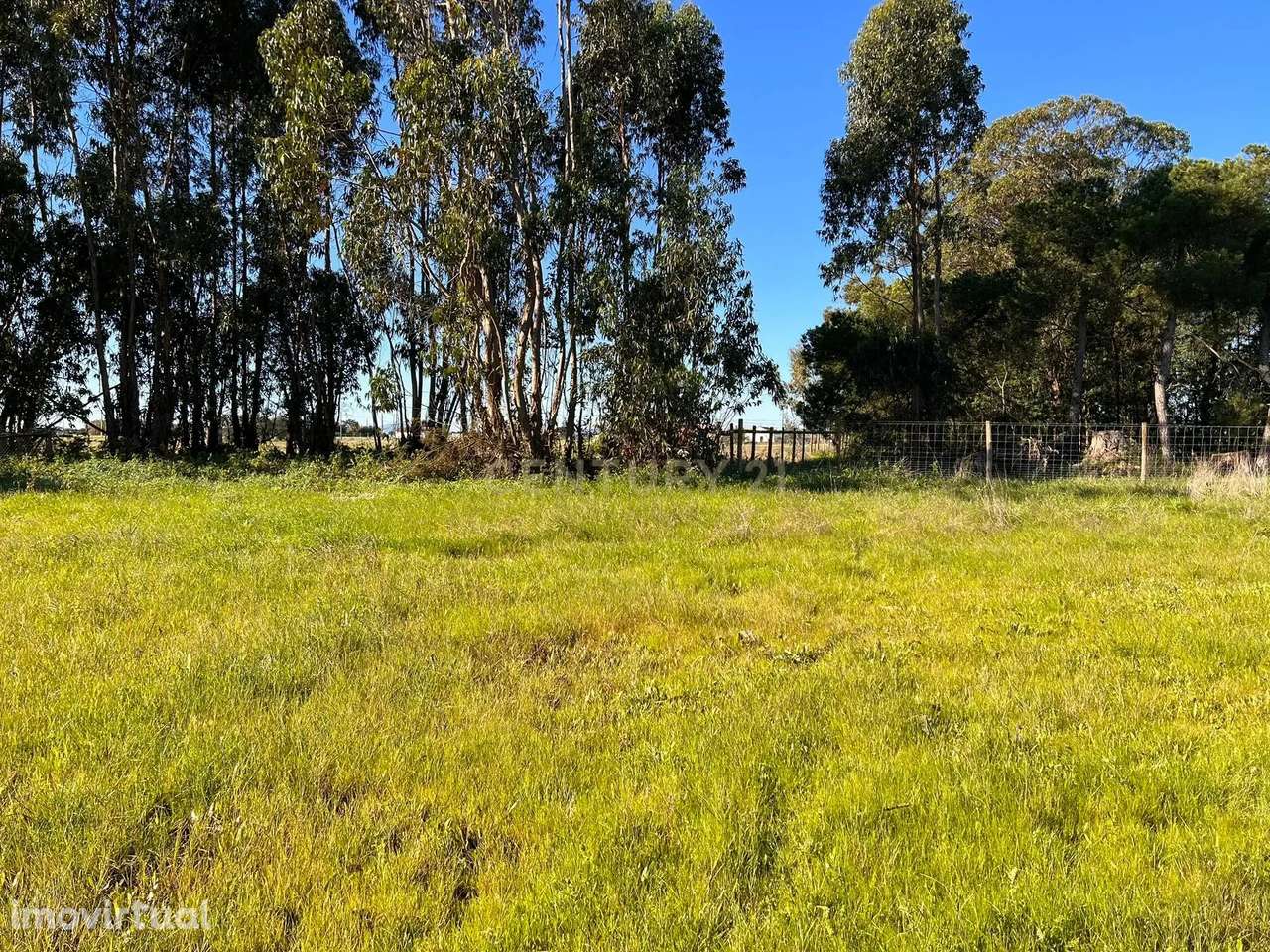 Terreno Rústico - Baldio em Malpica do Tejo - Grande imagem: 2/4