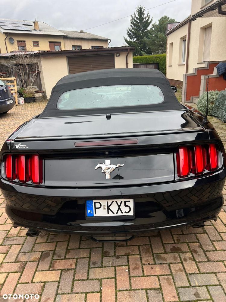 Ford Mustang 5.0 Ti-VCT V8 Black Shadow Edition - 15