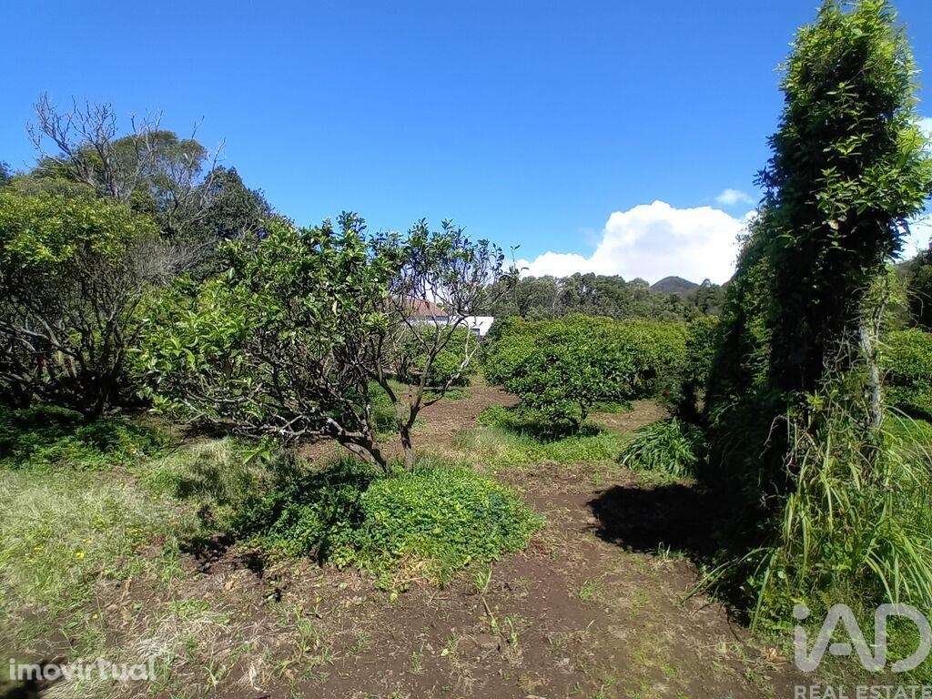Terreno Agrícola em Lagoa (Nossa Senhora do Rosário) - Grande imagem: 4/17
