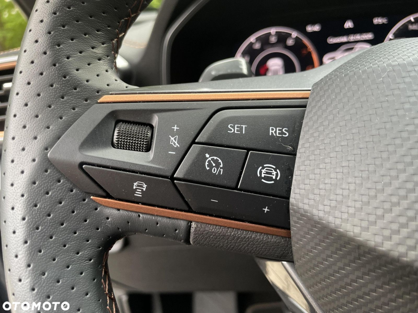 Cupra Formentor 2.0 TSI 4Drive DSG - 32