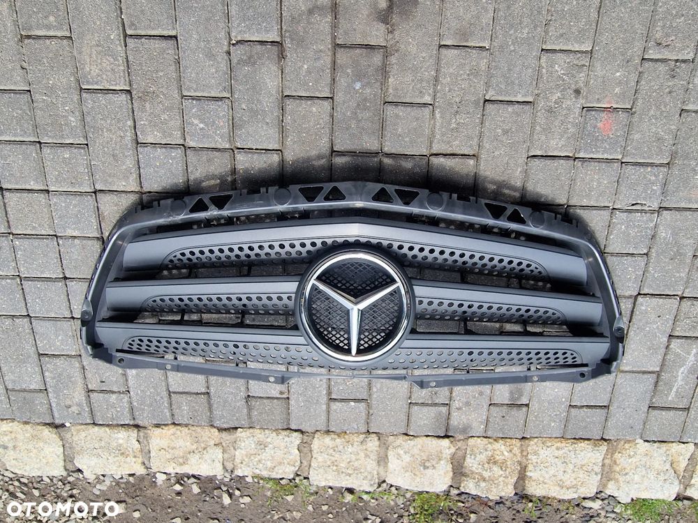 GRIL ATRAPA MERCEDES SPRINTER 906 LIFT - 1