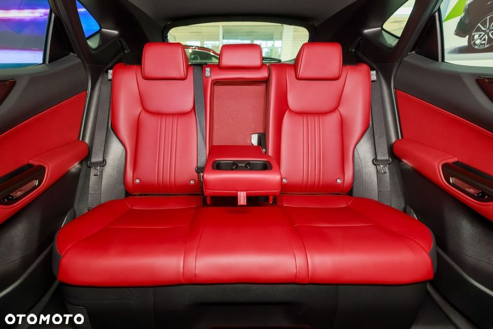 Lexus NX - 20