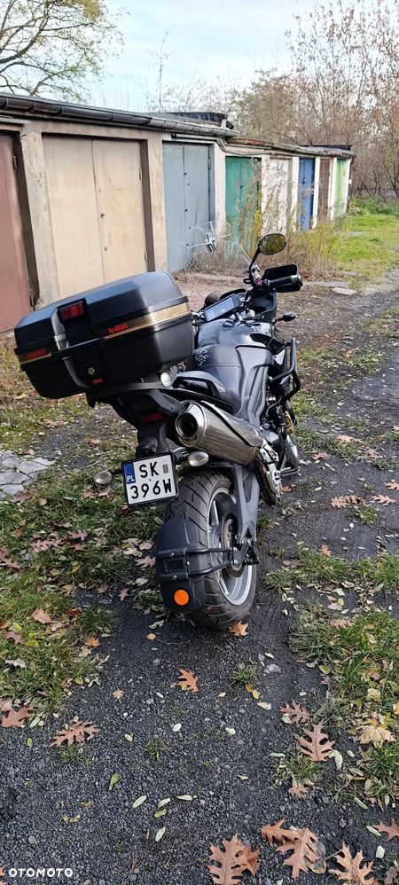 Triumph Tiger - 3