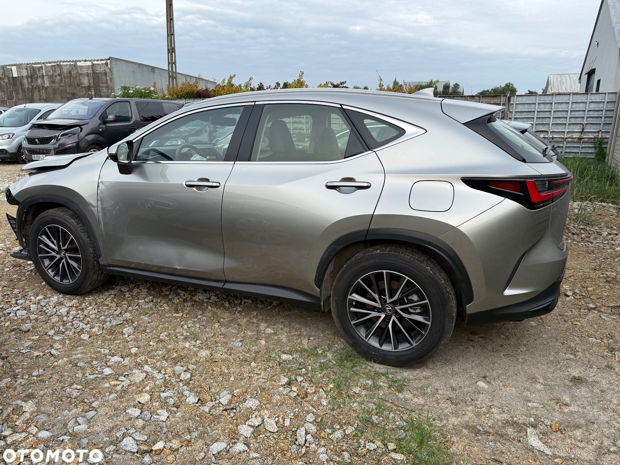 Lexus NX 350h Business 2WD - 2