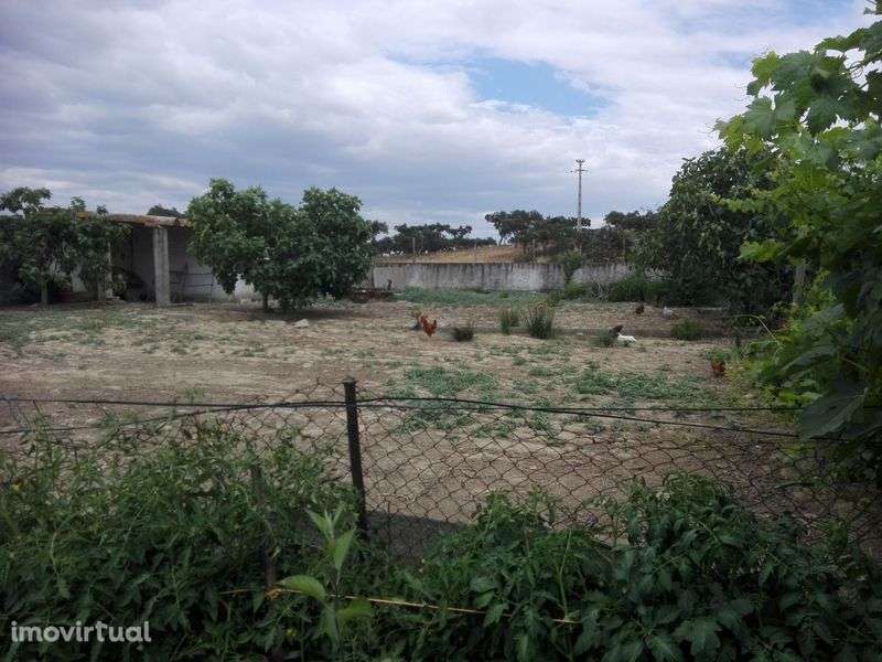 Quinta Ourique  aluguer - Grande imagem: 3/12