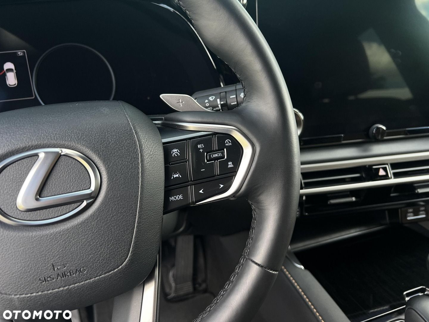 Lexus RX - 14
