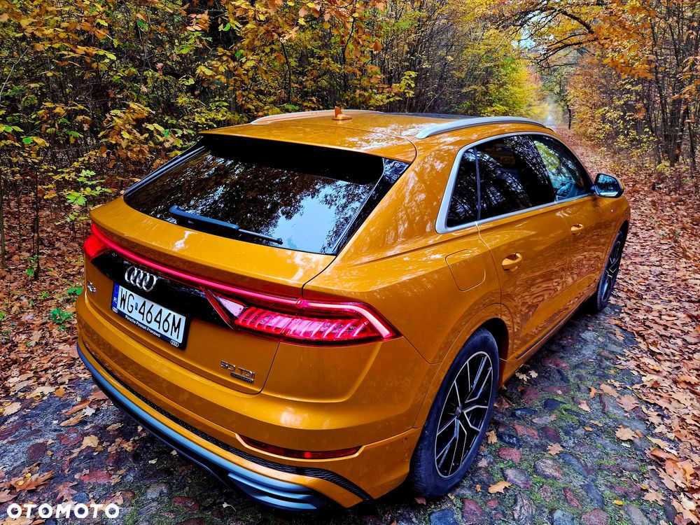 Audi Q8 - 10