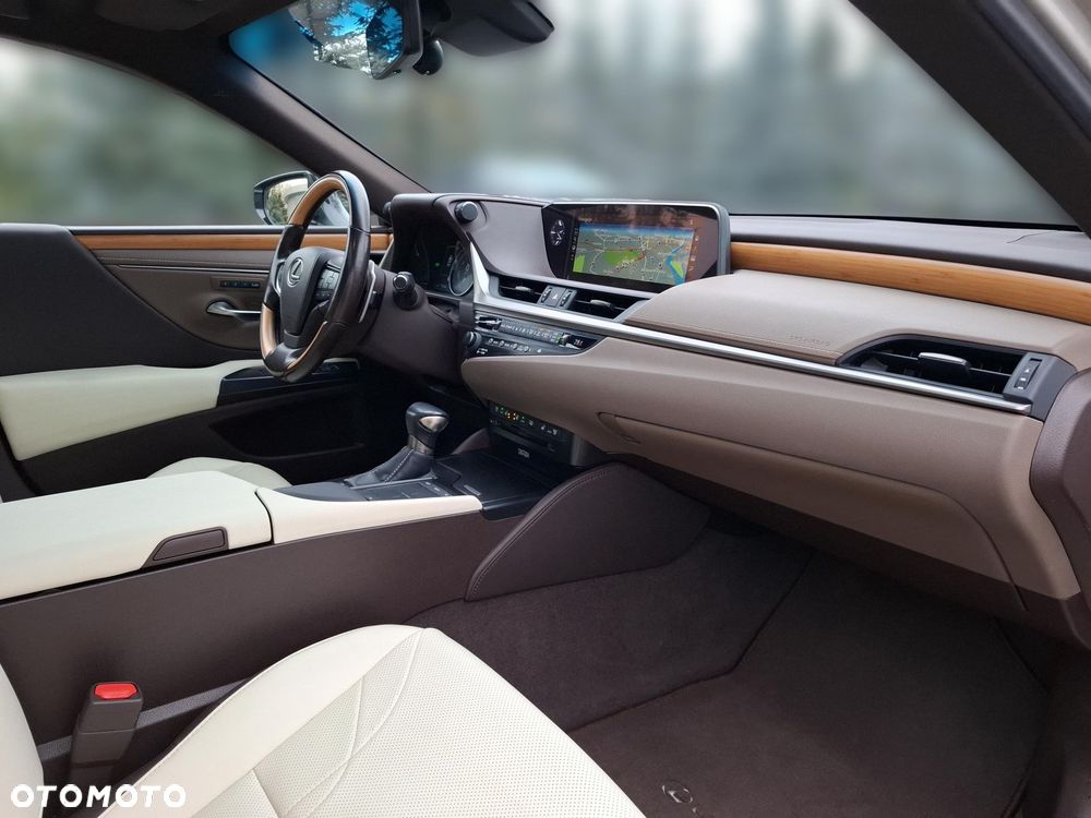 Lexus ES 300h Omotenashi - 12