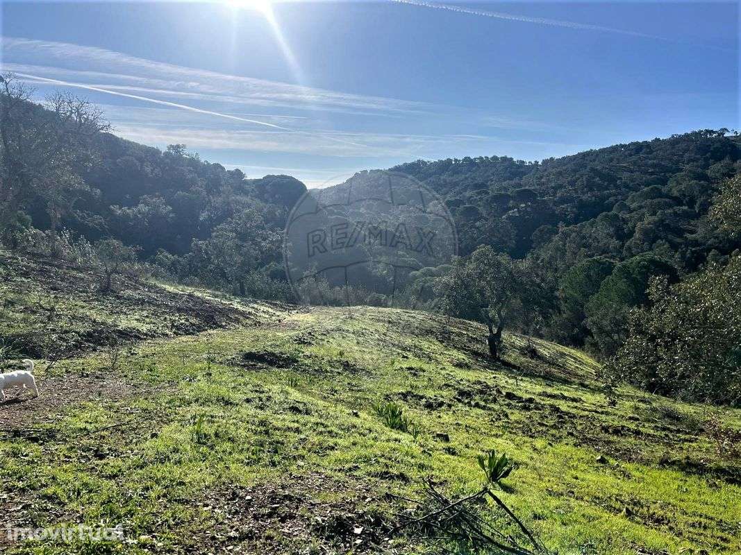 Terreno  para venda - Grande imagem: 5/12