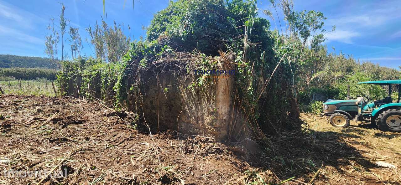 Terreno 3.463m2 Ruina uma antiga Azenha Alfeizerão - Grande imagem: 3/16