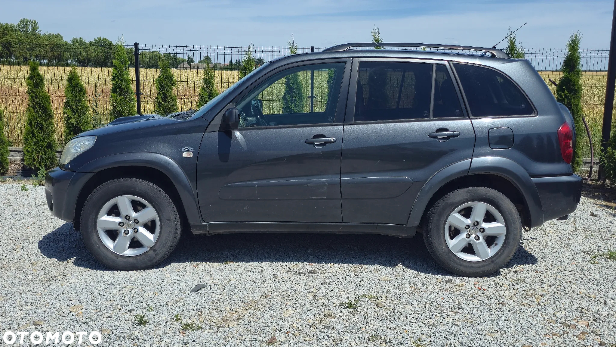 Toyota RAV4 2.0 D-4D 4x4 - 18