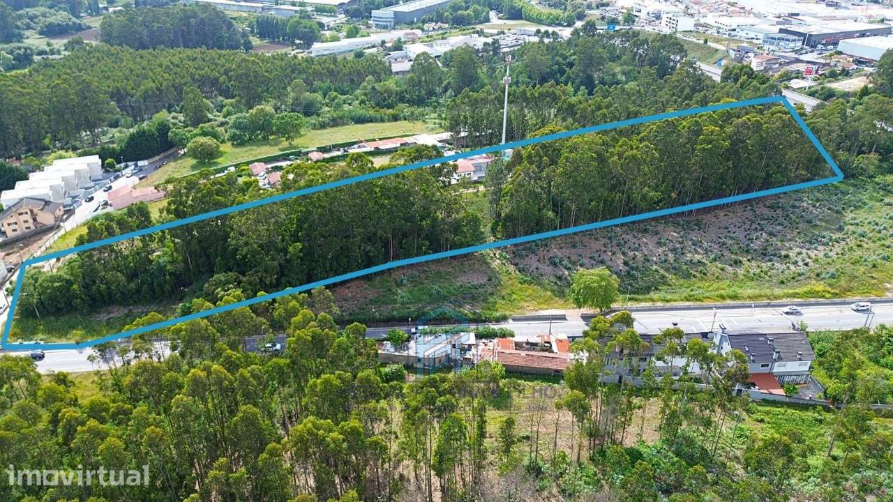 Terreno Baguim | Próximo ao Nó da A4 e Stª Rita - Grande imagem: 4/6
